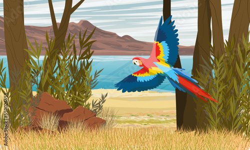 A bright parrot macaw flies over a tropical ocean shore. South America and Africa. Realistic vector landscape