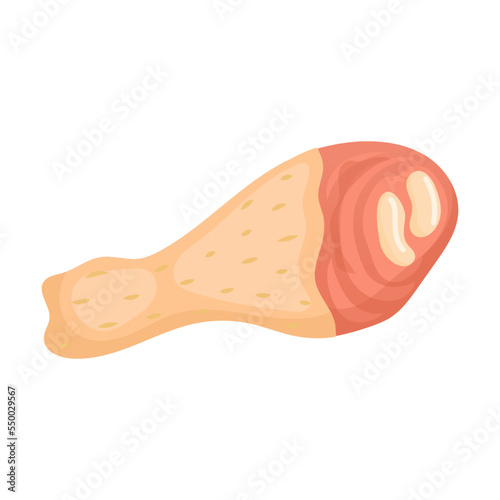 Raw chicken leg, chicken thigh. Product vector ingredient illustration isolated on white background