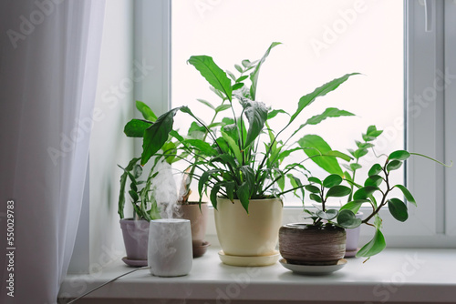 Humidifier in the room on the windowsill among indoor plants. The humidifier on the background of flowers releases steam