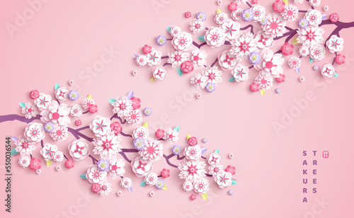 Cherry blossoms branch, spring flower paper cut, pink background. Vector illustration. Japanese sakura garden, apricot plum petals. Place for text. Asian cover, Korean wedding card beautiful