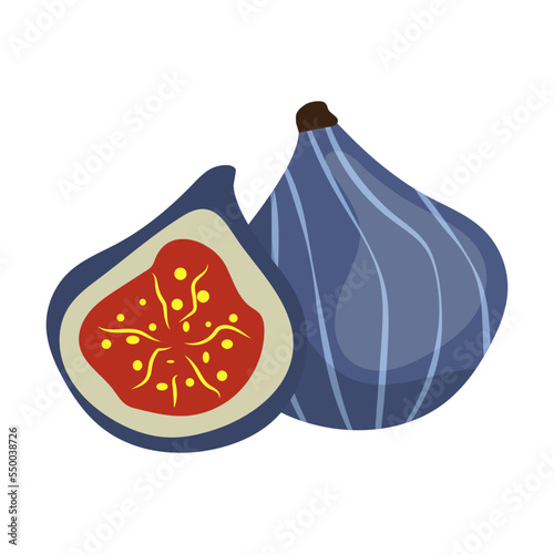 Juicy fig. Symbol of Georgia vector illustration. Georgian food, national cuisine isolated on white background. Traveling, culture concept