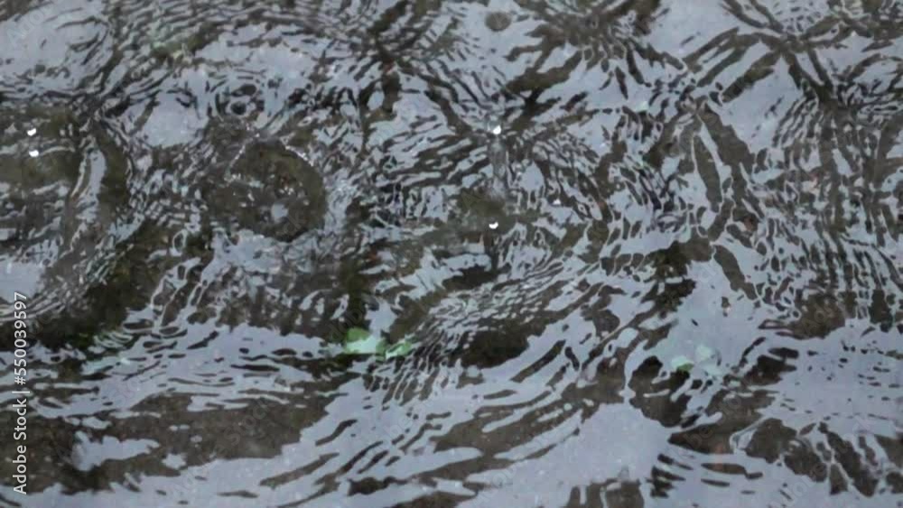 The raindrops falling into a large puddle, forming concentric circles on the surface of the water, slow motion The raindrops falling into a large puddle, forming concentric circles on the surface of the water, slow motion
