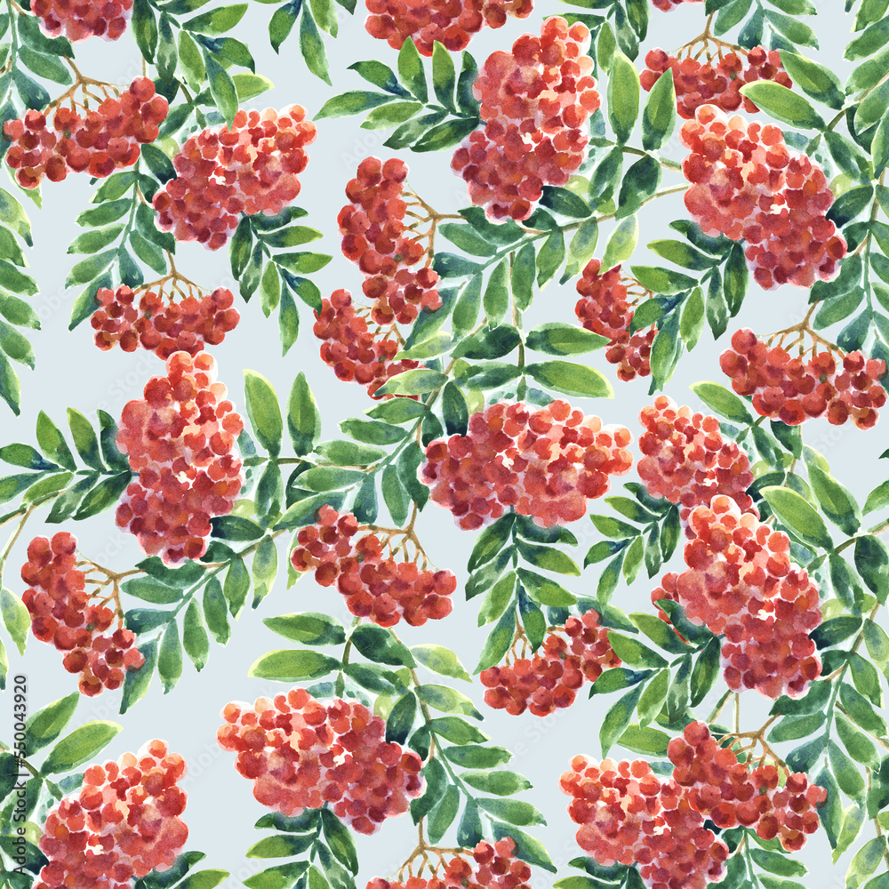 Watercolor seamless background with berries ashberry.