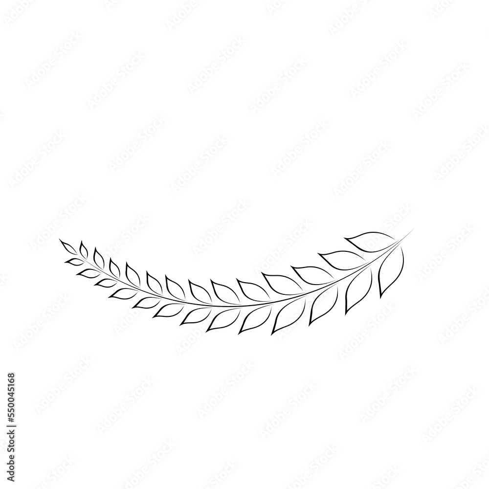 classic, element, pattern, branch, line, text, flyer, poster, foliage, nature, artistic, eucalyptus, botanical, creative, floral frame, design, vector, ornate, retro, marriage, graphic, celebration, l classic, element, pattern, branch, line, text, flyer, poster, foliage, nature, artistic, eucalyptus, botanical, creative, floral frame, design, vector, ornate, retro, marriage, graphic, celebration, l