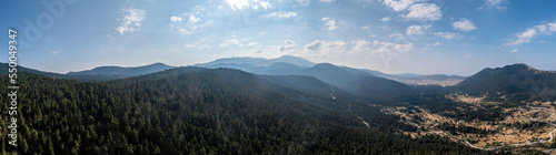 Fir forest landscape  mountain and blue sky background. Wide panorama aerial drone view.