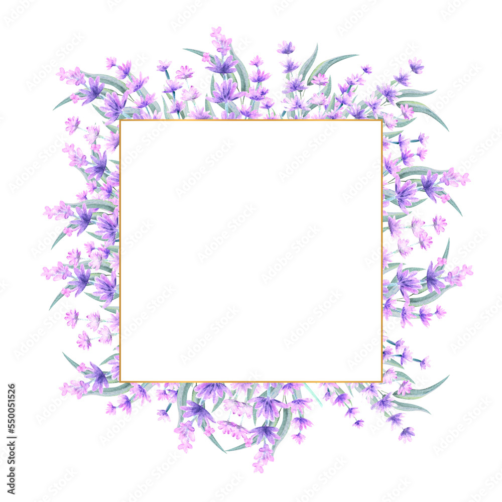 Lavender flowers in a square gold frame. Hand-drawn watercolor illustration. For invitations, greeting cards, prints, posters, advertising Lavender flowers in a square gold frame. Hand-drawn watercolor illustration. For invitations, greeting cards, prints, posters, advertising