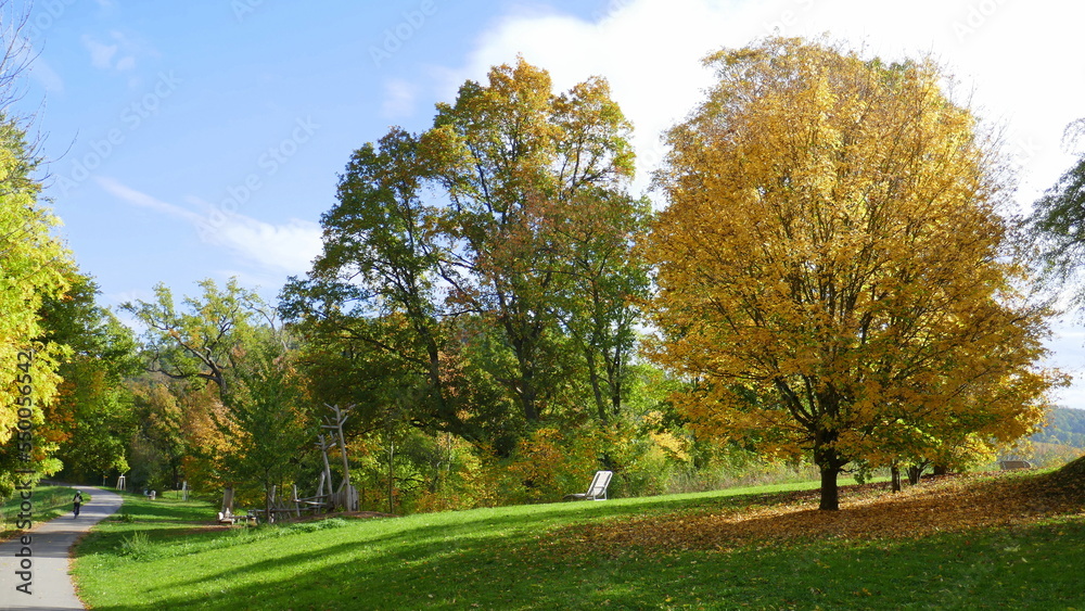 Radlerin bei herrlichem Herbstwetter im Schönbuch