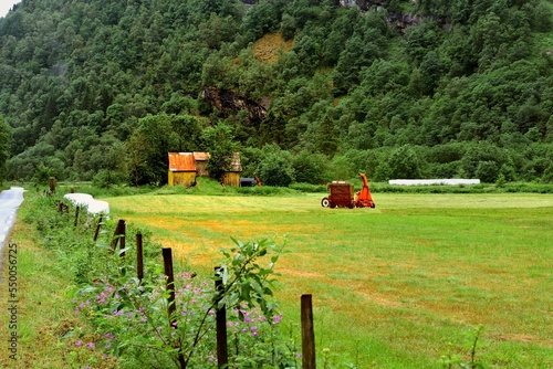 Bringing in the harvest in the Breheimen National Park photo