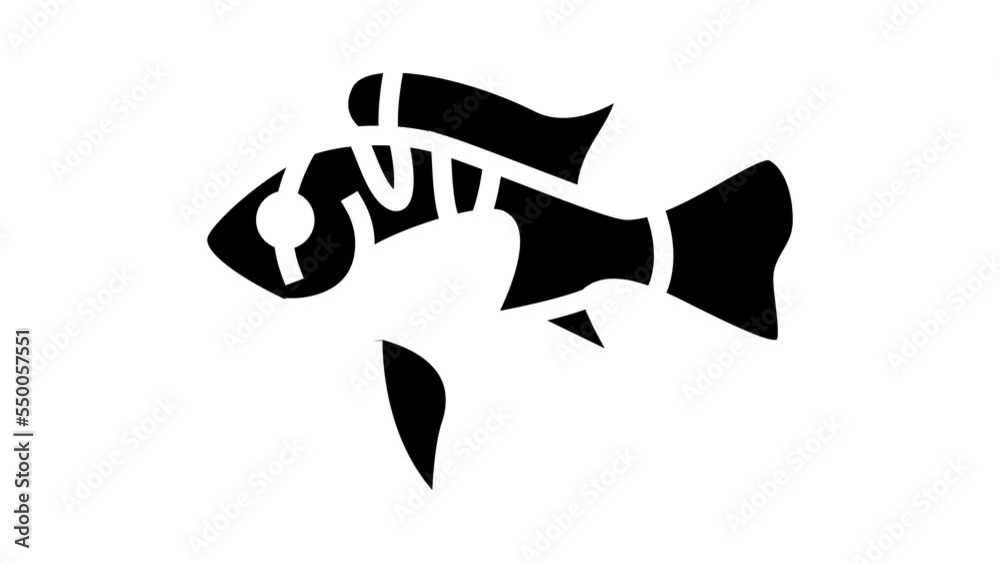 ram cichlids fish glyph icon animation ram cichlids fish glyph icon animation
