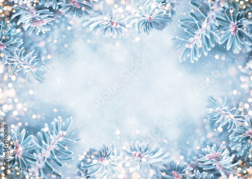 Beautiful Blue Fir Tree Branches in Snowy Forest with festive bokeh. Christmas and Winter concept. Soft focus.