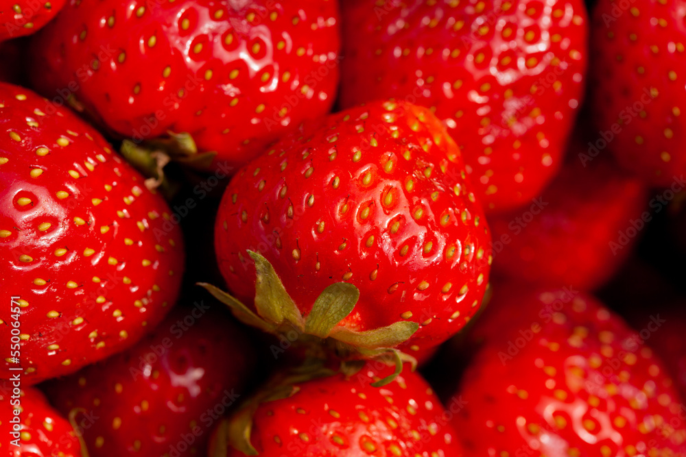 background from freshly harvested ripe strawberries, directly above background from freshly harvested ripe strawberries, directly above
