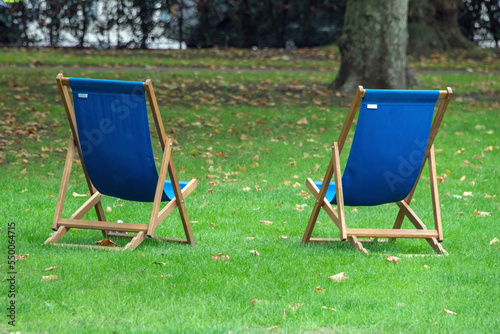 Two blue deck chairs on the green grass in the garden