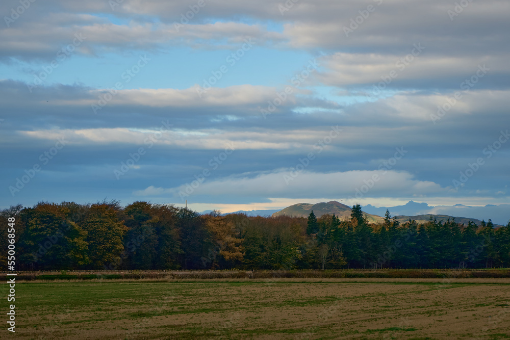 Bright autumn landscape with golden trees and blue sky in countryside