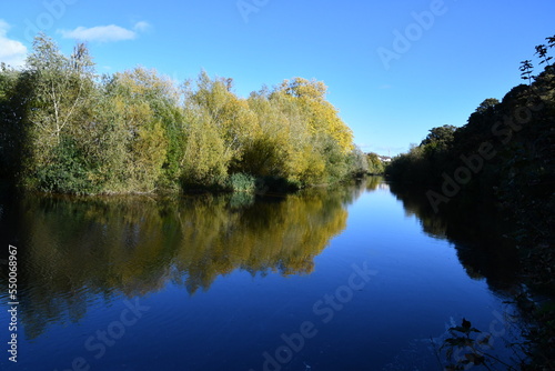 Autumn colours reflection on a river Nore, Kilkenny, Ireland © Audrius