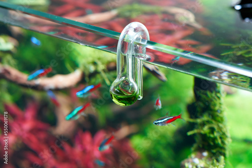 Glass hang-on CO2 aquarium drop checker for monitoring optimal carbon dioxide amount in planted tank.