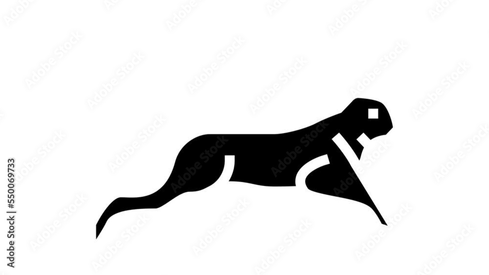 hare wild animal glyph icon animation hare wild animal glyph icon animation