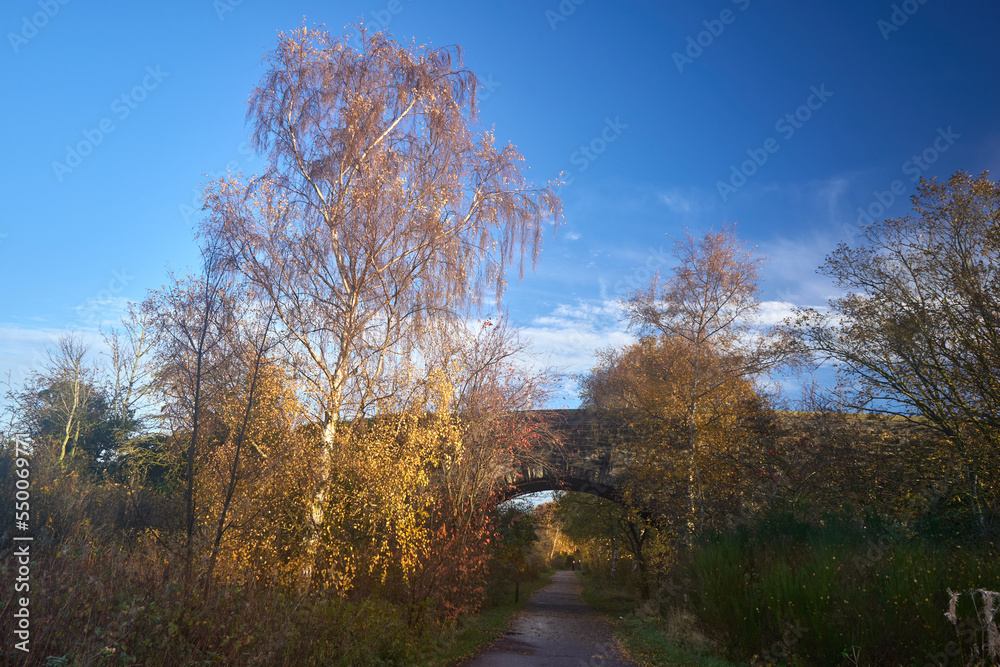 Bright autumn landscape with golden trees and blue sky in countryside Bright autumn landscape with golden trees and blue sky in countryside
