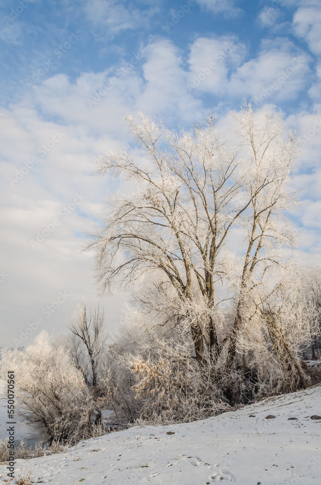 The bank of the Danube river covered with snow. Frozen, snow-covered banks of the Danube River below the Petrovaradin Fortress, Vojvodina, Novi Sad, Petrovaradin, Serbia.