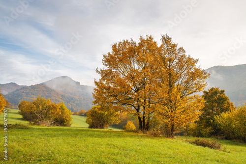 Colorfull trees in autumn foggy landscape. The Strazov Mountains Protected Landscape Area, Slovakia, Europe. © Viliam