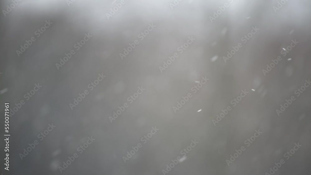 Snowflakes falling in close up against blurred background, winter scene