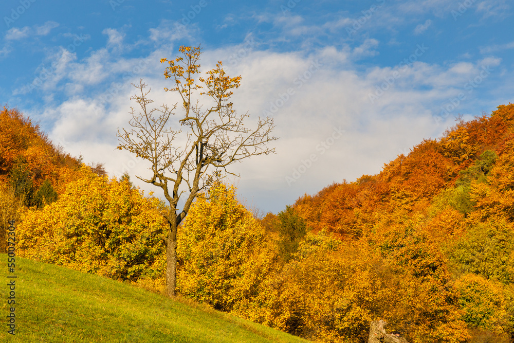 View of autumn mountain landscape. The Vrsatec National Nature Reserve in the White Carpathian Mountains, Slovakia, Europe. View of autumn mountain landscape. The Vrsatec National Nature Reserve in the White Carpathian Mountains, Slovakia, Europe.