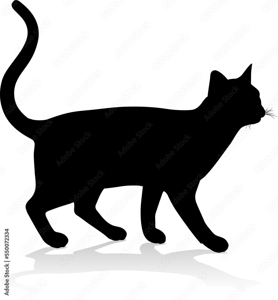 Silhouette Cat Pet Animal