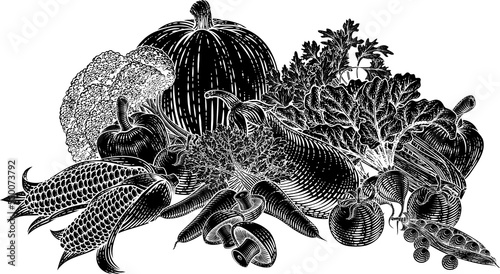 Wallpaper Mural Vegetables Fruit Produce Food Illustration Woodcut Torontodigital.ca