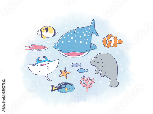 海の生き物