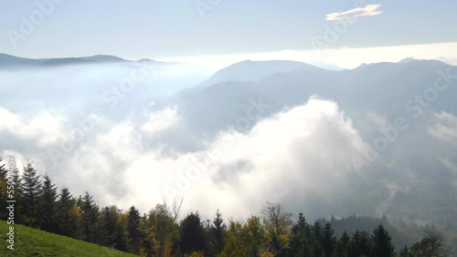 Beautiful dense fog over the valley, view from large, tall green grass. Germany, Baden-Wurttemberg, region Swabian forest, over valley Baden Baden, rural landscape and forest in autumn photo