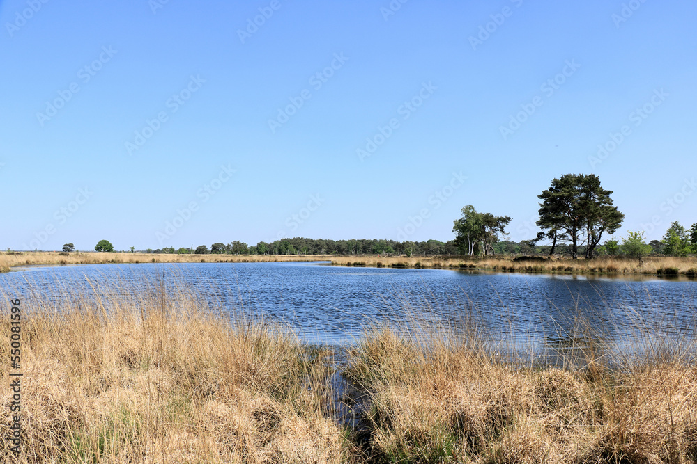 lake in the cross border park the Zoom and Kalmthout heath in Belgium, the Netherlands