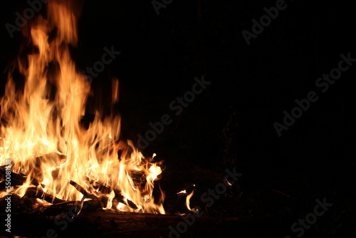 A night campfire with a free place on the right side.