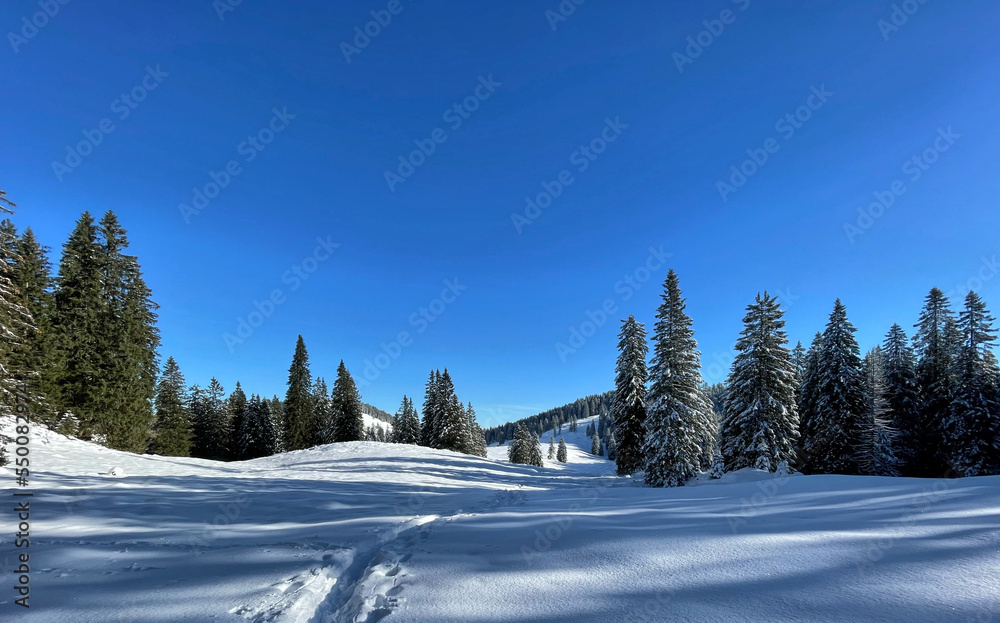 Winterlandschaft auf dem Riesenplateau im Hochries Gebiet, Alpen, Chiemgau, Bayern, Deutschland Winterlandschaft auf dem Riesenplateau im Hochries Gebiet, Alpen, Chiemgau, Bayern, Deutschland