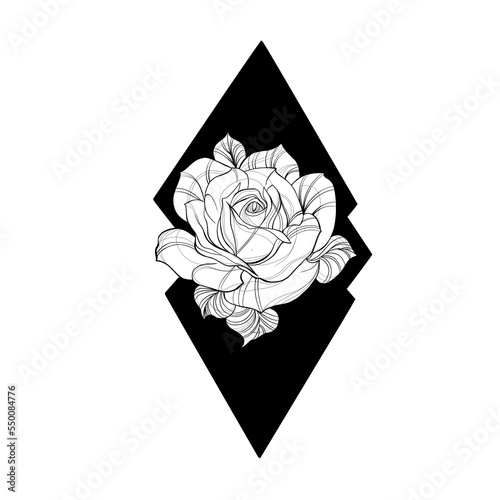 Detailed sketch of a rose flower tattoo. Decorative elements for tattoo, gree...