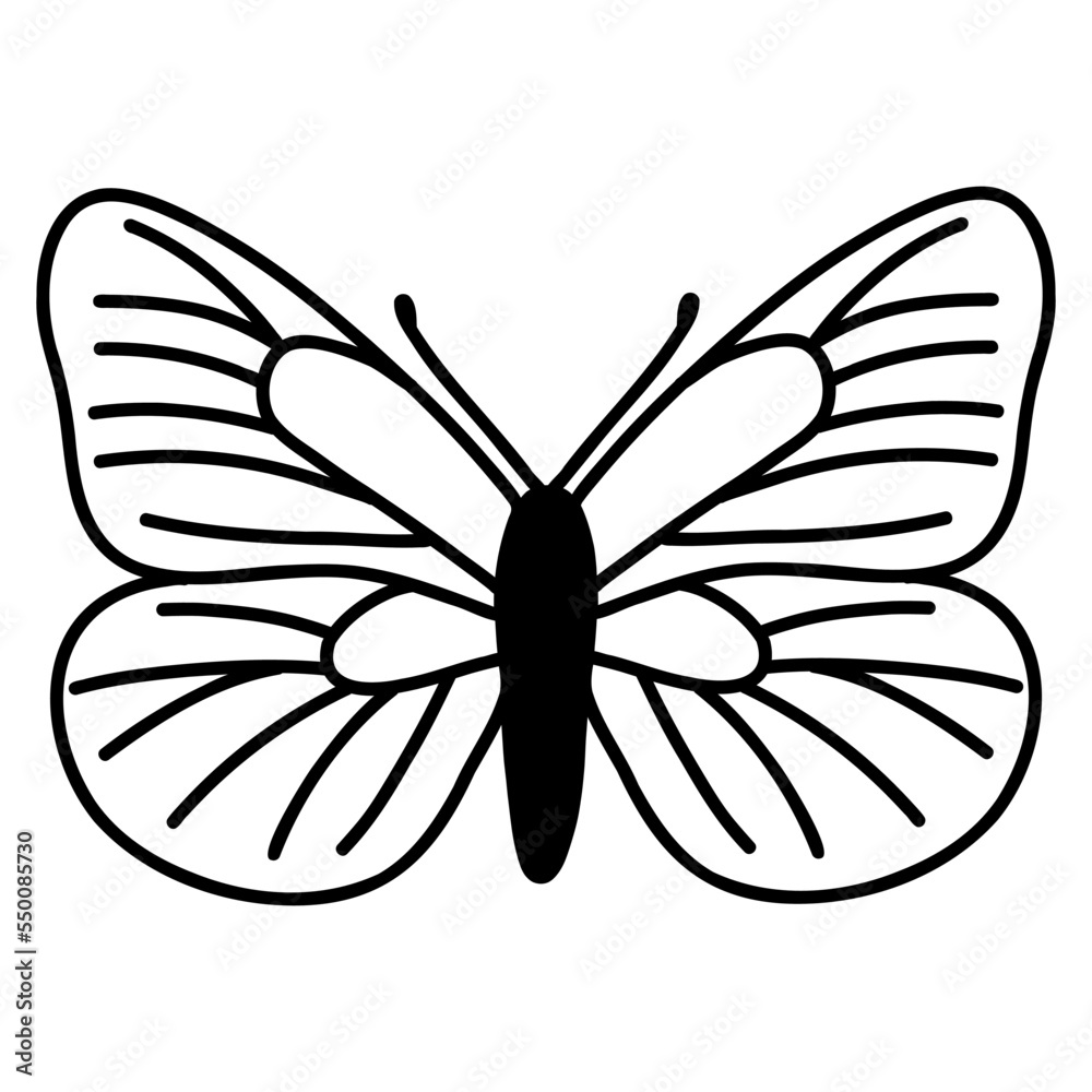 Hand drawn doodle butterfly. Vector sketch illustration, black outline art of insect for web design, icon, print, coloring page Hand drawn doodle butterfly. Vector sketch illustration, black outline art of insect for web design, icon, print, coloring page