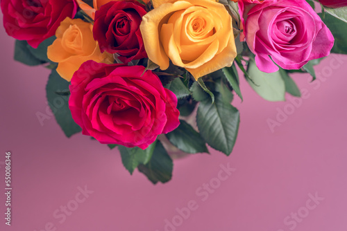 Bunch of colorful roses. Beautiful bouquet of roses in variety of colors on dusty pink background with copy space