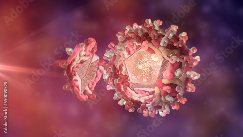 West Nile virus structure (WNV), protein envelope, nucleocapsid, positive-sense, single-stranded RNA. The west nile virus can cause encephalitis in humans. It is transmitted by mosquitoes.  photo