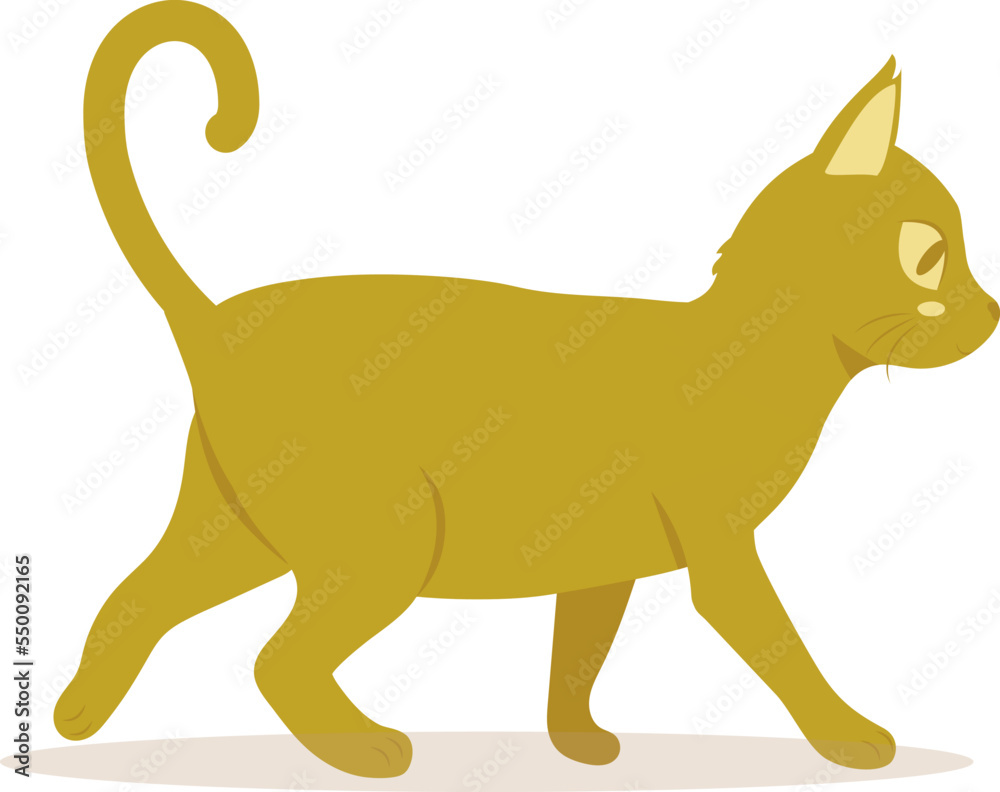 Illustrations of cat with ginger coat color in poses stand.