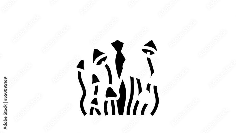psychedelic magic mushroom glyph icon animation psychedelic magic mushroom glyph icon animation