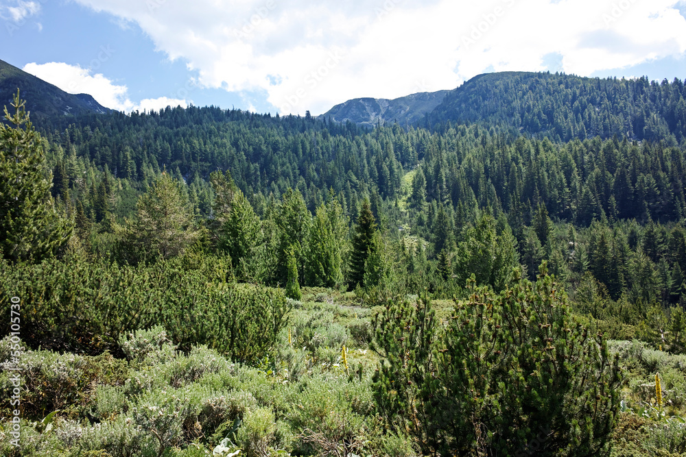 Landscape of Pirin Mountain mountain near Begovitsa hut, Bulgaria