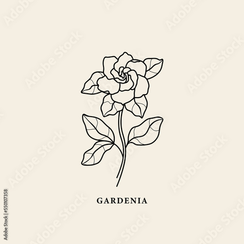 Εκτύπωση καμβά Line art gardenia flower branch illustration