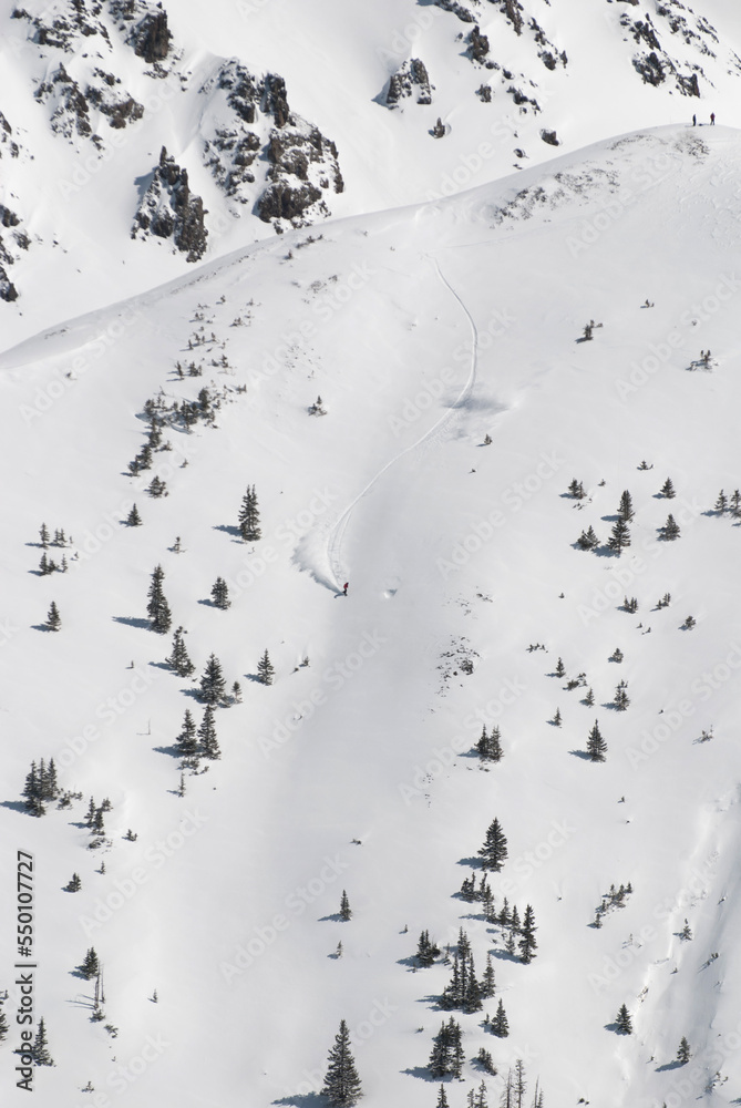 A snowboarder descending a fresh powder run at timberline in the San Juan Mountain Range. A snowboarder descending a fresh powder run at timberline in the San Juan Mountain Range.