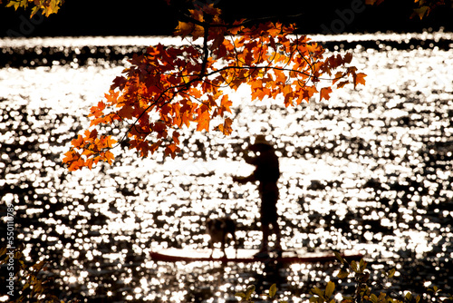 Fall colors and out of focus man on a stand-up paddle board with a dog. photo