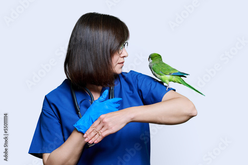 Doctor veterinarian examining green Quaker parrot, on white background photo