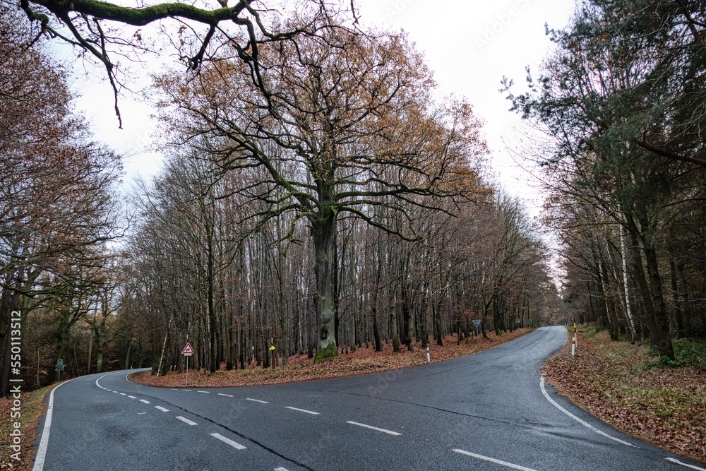 Fototapeta premium czech countryside landscape in autumn