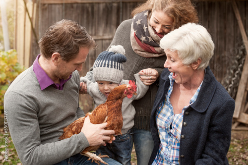 Family with chickens bird sitting in poultry farm, Bavaria, Germany photo