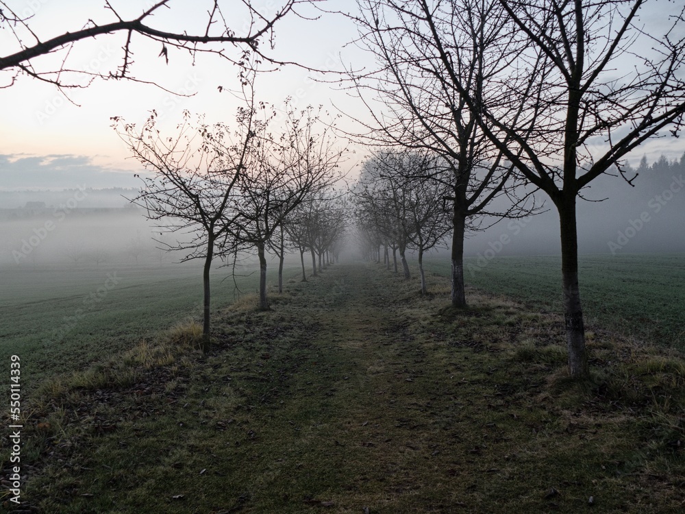 misty morning in a czech countryside landscape misty morning in a czech countryside landscape