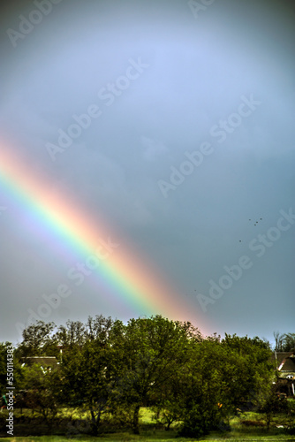 Big double rainbow with rain over green trees  