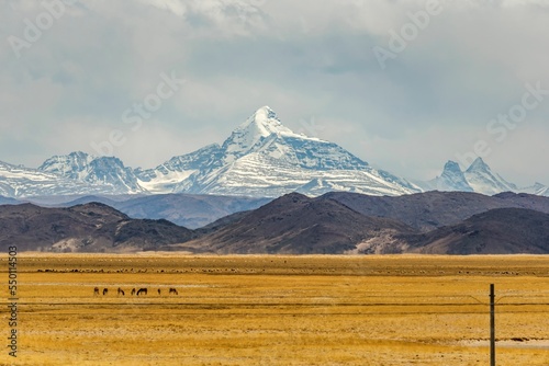 Dunes and Himalayas at the source of the Yarlung Zangbo River in Zhongba County, Xigaze, Tibet photo