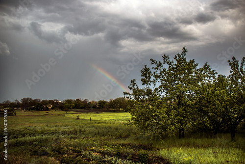 A tree in the village stands against the background of a cloudy sky and a rainbow