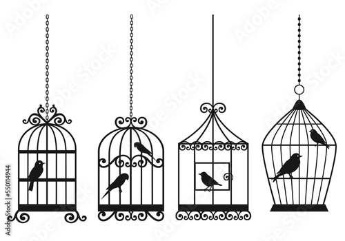 Schilderij op canvas Vintage birdcages with birds, illustration over a transparent background, PNG im